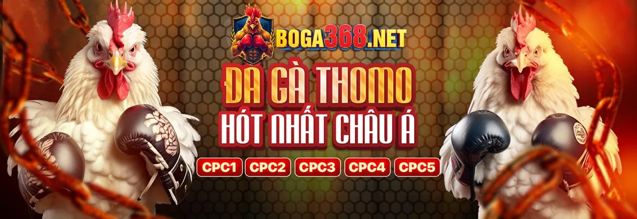 Đá gà trực tuyến kịch tính tại 777vin777 Nổ Hũ